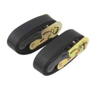 Strap Ratchet 25mm X 1M Pair - by Front Runner